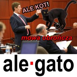 alegato