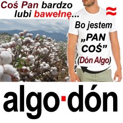 algodon