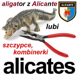 alicates1