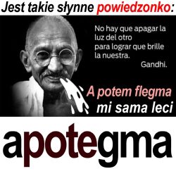 apotegma