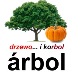 arbol