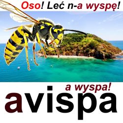 avispa