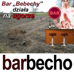barbecho1
