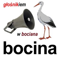 bocina