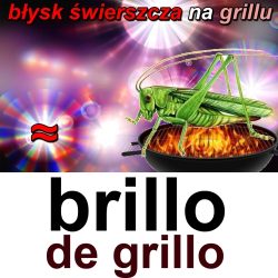 brillo de grillo