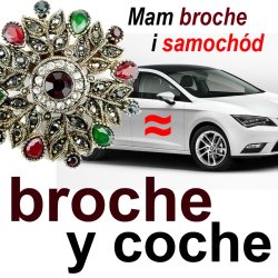 broche y coche