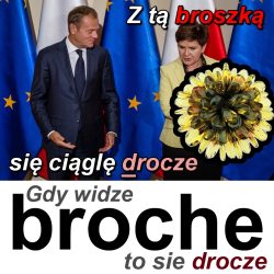 broche2