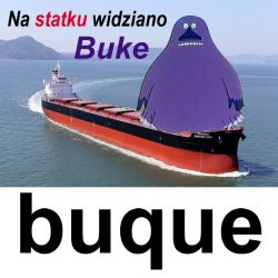 buque+