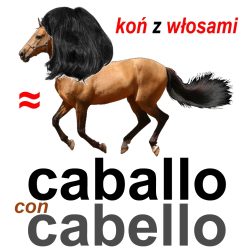 caballo con cabello+