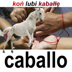 caballo2